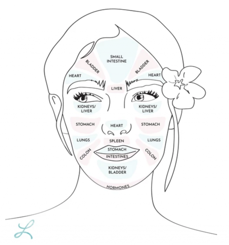 Benefits Of Face Mapping How To Become An Esthetician
